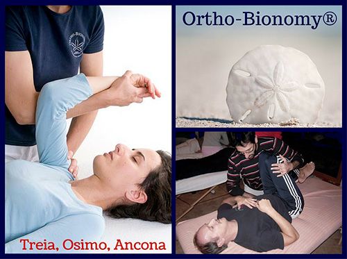 metodo ortho-bionomy nelle sedi di treia ancona e osimo